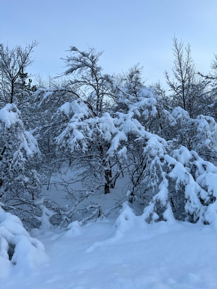 A lot of snow &#8211; a walk with the family.